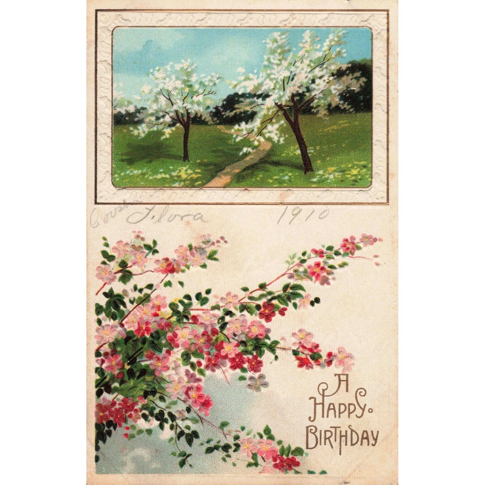 Vintage 1910 A Happy Birthday Postcard Embossed Floral Cherry Blossom Landscape - Picture 1 of 2